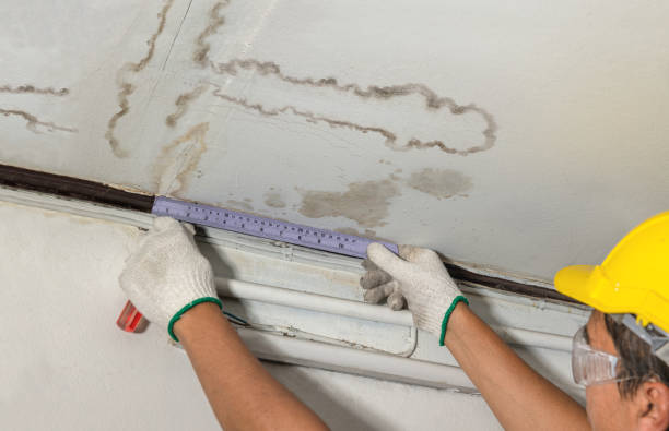 Reliable Water Damage contractor in Smithfield, VA by Water Damage Irwin
